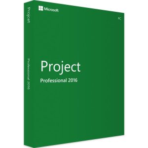 Microsoft Project Professional 2016